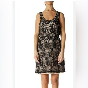 Express
Beige Black Lace Holiday A-Line
Dress!